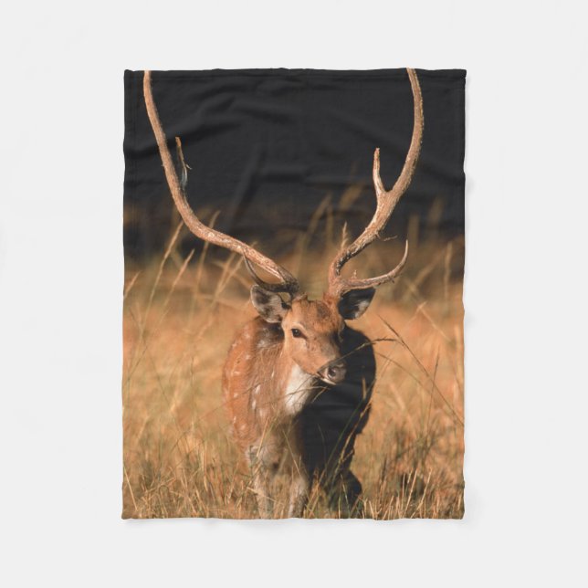Chital Natural Habitat | Bandhavgar National Park Fleece Blanket (Front)