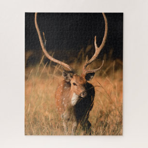 Chital Natural Habitat   Bandhavgar National Park Jigsaw Puzzle