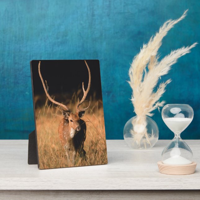 Chital Natural Habitat | Bandhavgar National Park Plaque (Side)