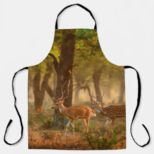 Chital or cheetal, Axis axis, spotted deers or axi Apron