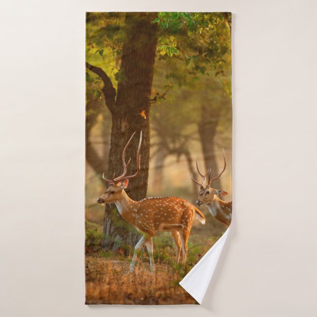 Chital or cheetal, Axis axis, spotted deers or axi Bath Towel (Bath Towel)