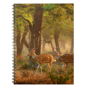 Chital or cheetal, Axis axis, spotted deers or axi Notebook