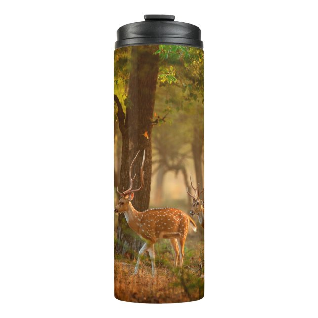 Chital or cheetal, Axis axis, spotted deers or axi Thermal Tumbler (Front)