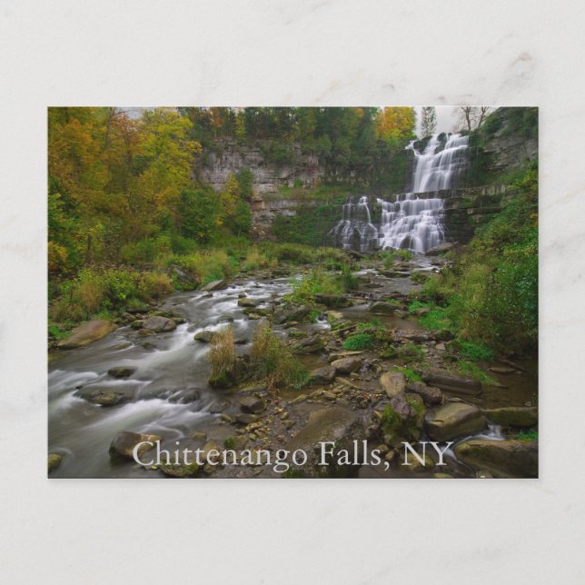 Chittenango Falls  Postcard (Front)