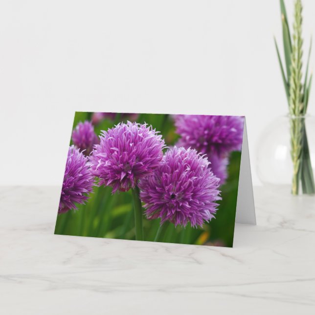 Chive Flowers Thinking of You Card (Front)