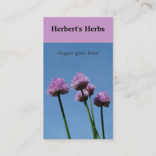 Chive Herb  Flower Bloom Business Card