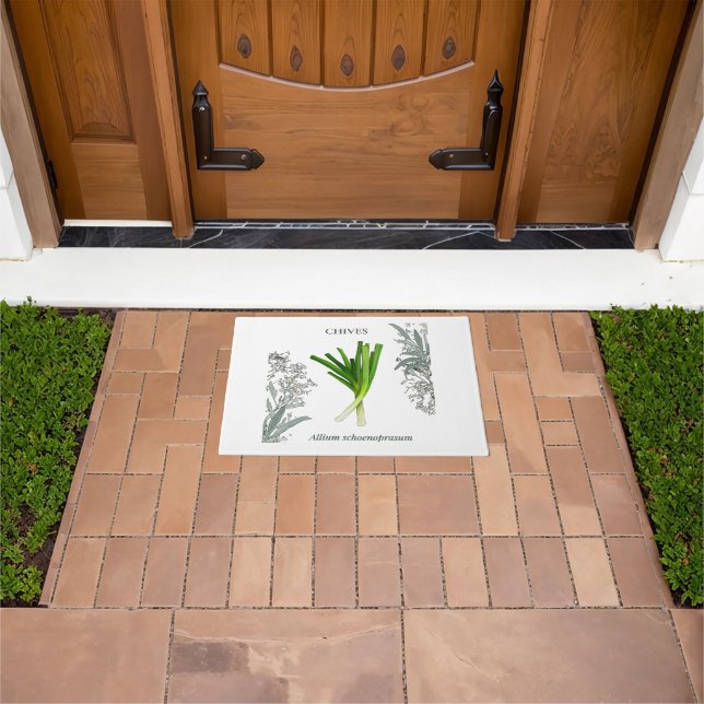 Chives — Allium schoenoprasum Doormat (Outdoor)