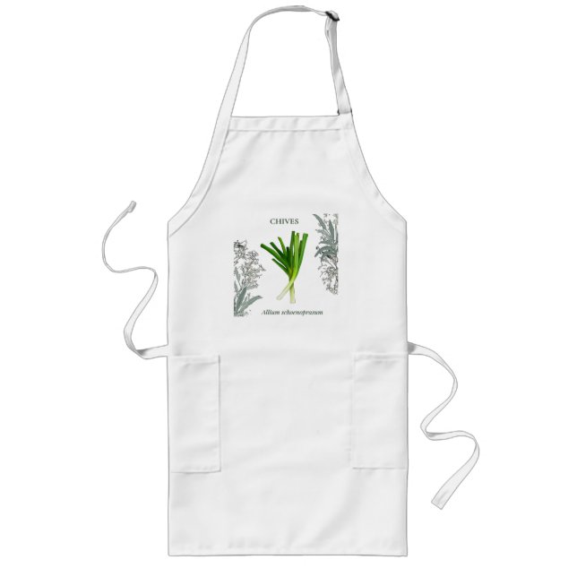 Chives — Allium schoenoprasum Long Apron (Front)