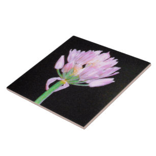 Chives Flower Tile