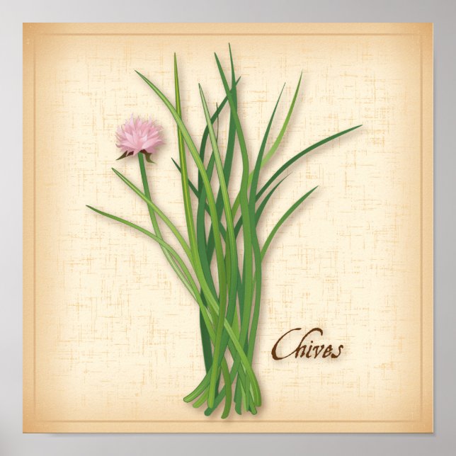 Chives Herb Poster (Front)