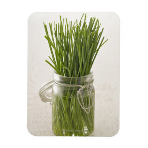 Chives Magnet