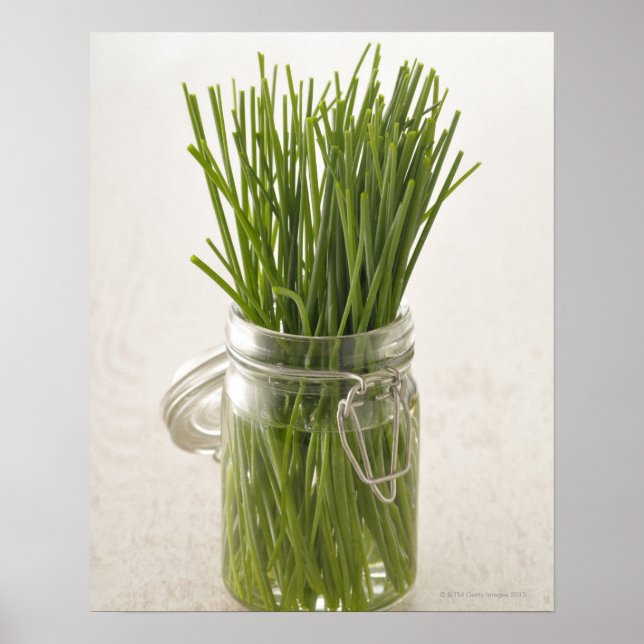 Chives Poster (Front)