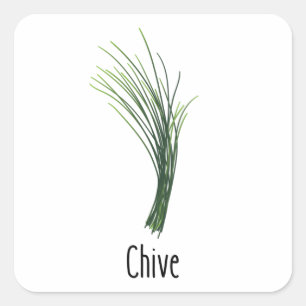 Chives Spices Herbs Square Sticker