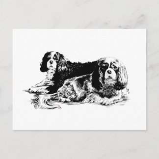 Chloe and Ollie postcard