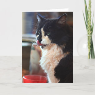 Chloe Licks Card