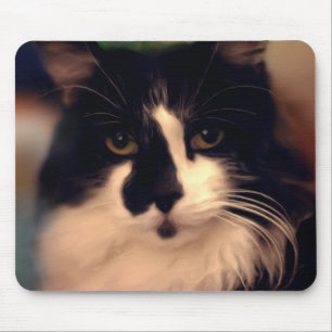 Chloe Painting Mouse Mat