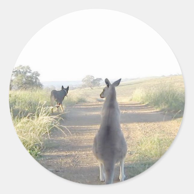 Chloe the kangaroo Sam the sheepdog Classic Round Sticker (Front)