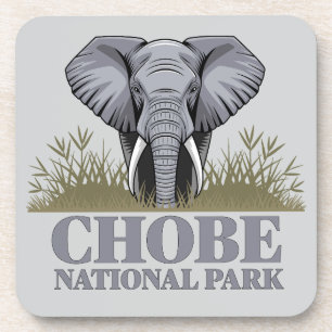 Chobe National Park Botswana Coaster