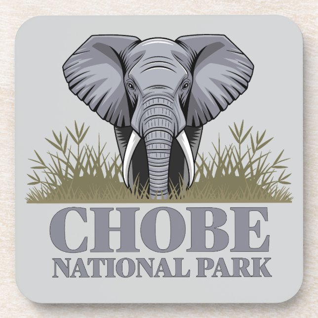 Chobe National Park Botswana Coaster (Front)