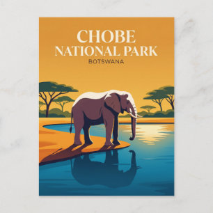Chobe National Park Botswana Postcard