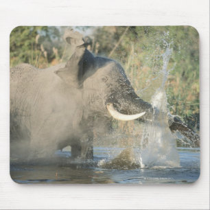 Chobe River, Botswana, Africa Mouse Mat