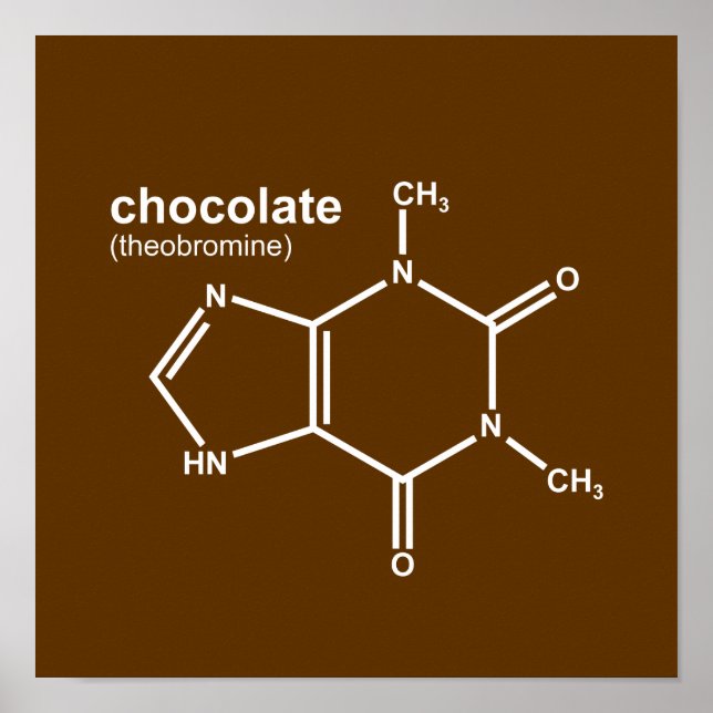 ChocChem $17.95 Graphic Art Wall Poster (Front)