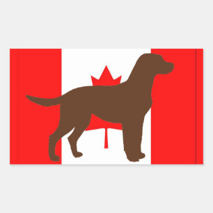 Chocoalte Lab Silhouette on Flag Rectangular Sticker