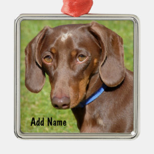 Chocolate and Tan Dachshund - Doxie Metal Tree Decoration