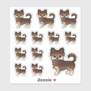 Chocolate And Tan Long Coat Chihuahua Dogs