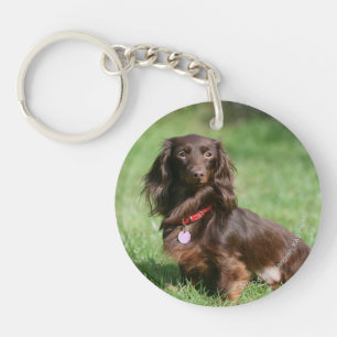 Chocolate and Tan Long-haired Miniature Dachshund Key Ring