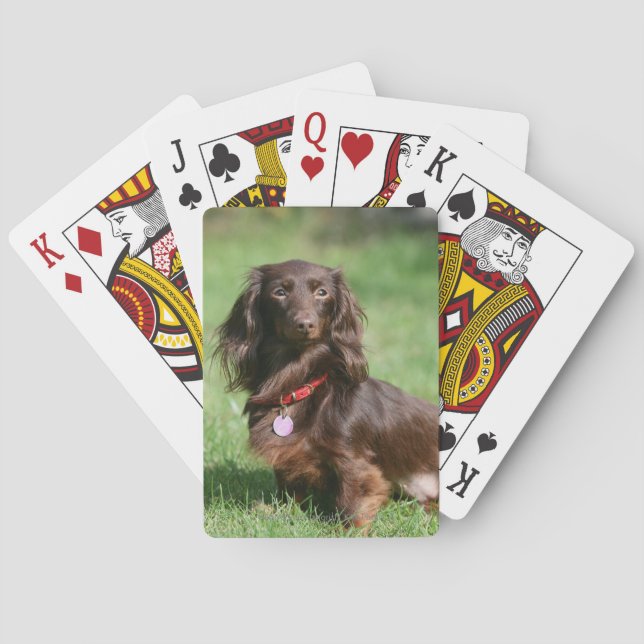 Chocolate and Tan Long-haired Miniature Dachshund Playing Cards (Back)