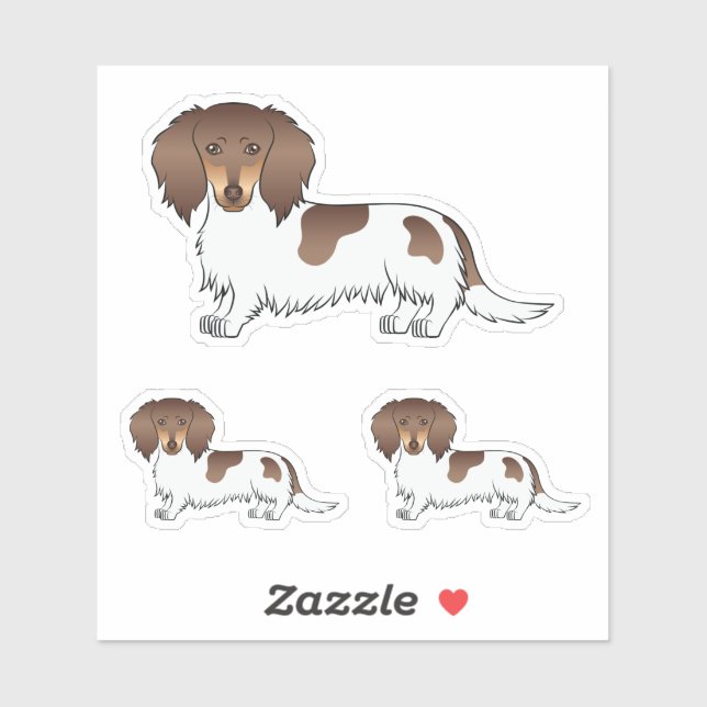 Chocolate And Tan Piebald Long Hair Dachshund Dogs (Sheet)