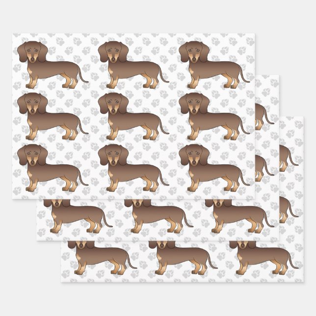 Chocolate And Tan Short Hair Dachshund Pattern Wrapping Paper Sheet (Set)