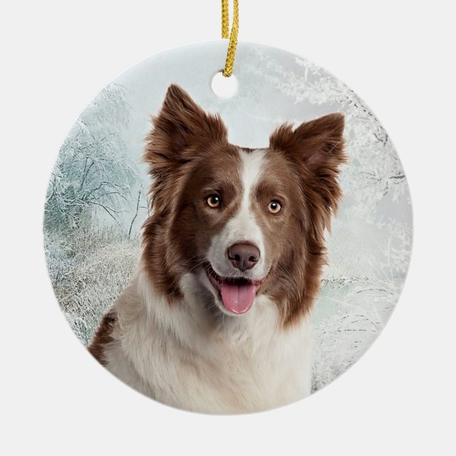 Chocolate Border Collie Ornament (Front)