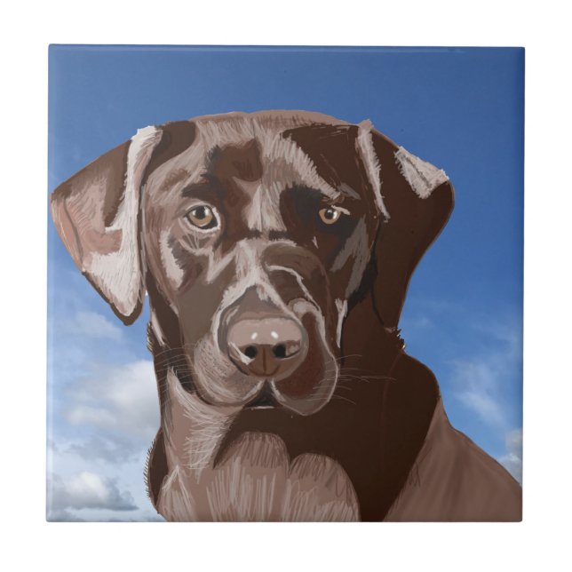 Chocolate Brown Labrador against the blue sky Tile (Front)