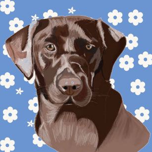 Dog Hair Cushions Decorative Throw Cushions Zazzle Uk