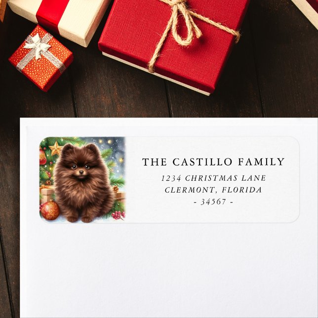 Chocolate Brown Pomeranian Christmas Address (Creator Uploaded)