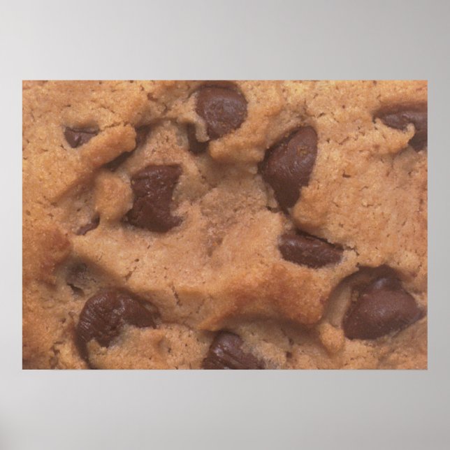 Chocolate Chip Cookie Poster (Front)