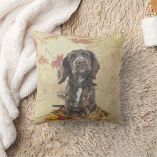 Chocolate cocker spaniel puppy       cushion
