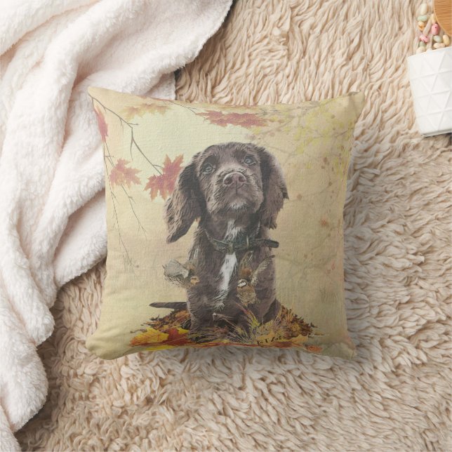 Chocolate cocker spaniel puppy       cushion (Blanket)