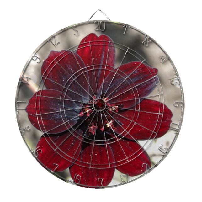 Chocolate Cosmos Flower Dartboard (Front)