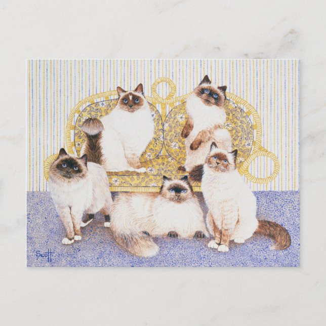 Chocolate creams postcard (Front)