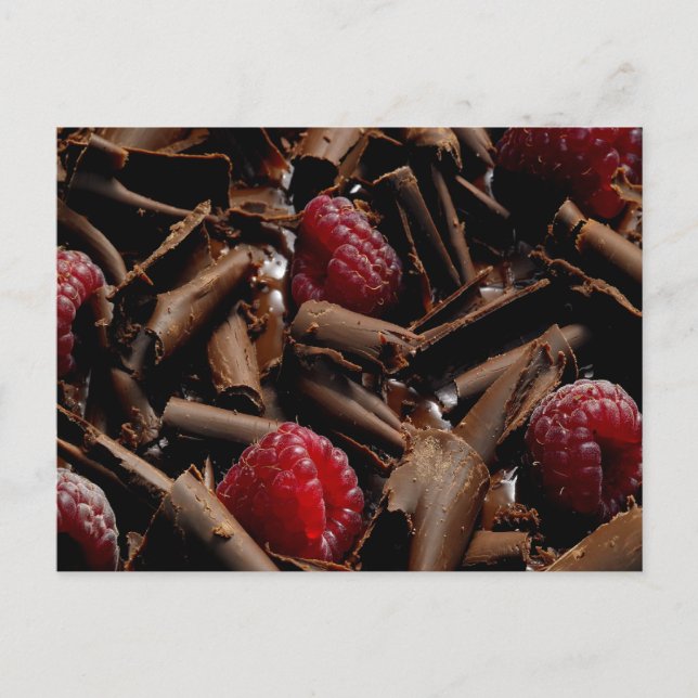 Chocolate Curls and Raspberries Postcard (Front)