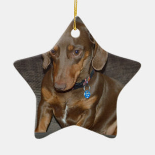 Chocolate Dachshund Ceramic Tree Decoration