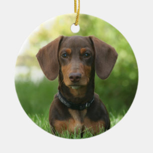 Chocolate Dachshund Doxie Dog Ceramic Tree Decoration