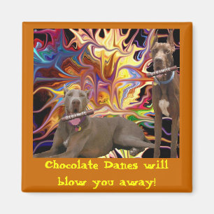 Chocolate Dane Blast Magnet