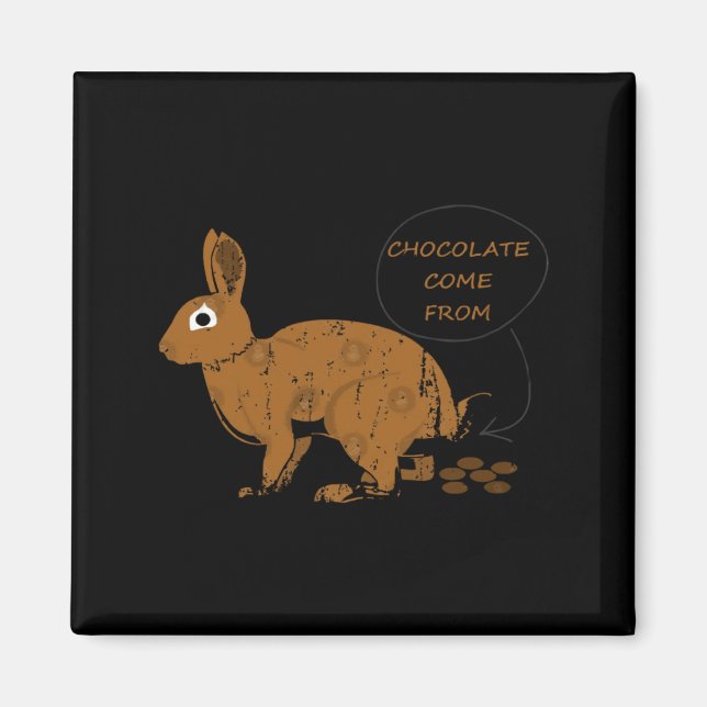 Chocolate Eggs From Easter Day  Magnet (Front)