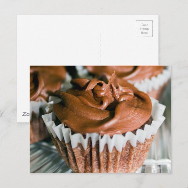 Chocolate Frosted Cupcakes Food Photography Postcard (Front/Back)