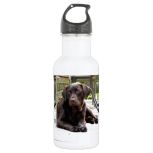 Chocolate Lab 532 Ml Water Bottle