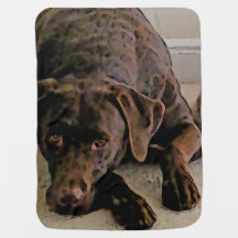 Chocolate lab baby blanket